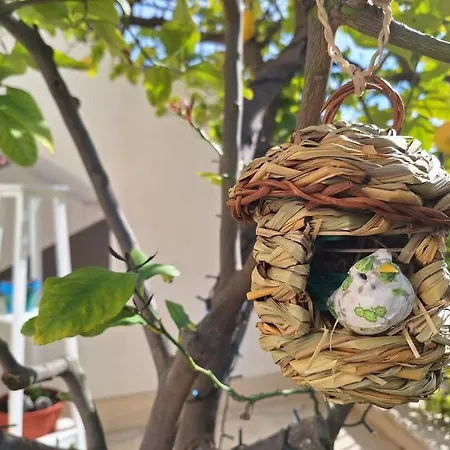 La Pigna Dell'etna Apartman Nicolosi