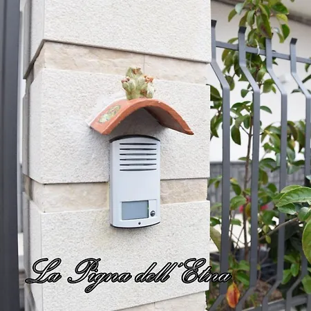 La Pigna Dell'etna