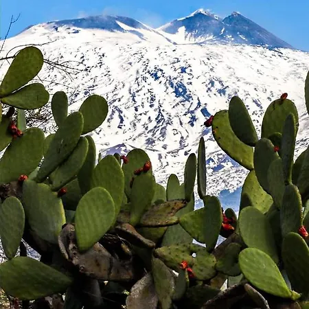 La Pigna Dell'etna Apartment Nicolosi